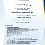 Online Marketing Manager Kopie